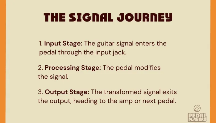 Diagram showing the signal journey of a guitar through an effects pedal, from input through processing to output.