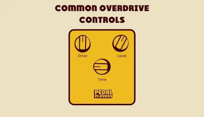 Infographic showing the common controls on an overdrive pedal and how each shapes the tone.